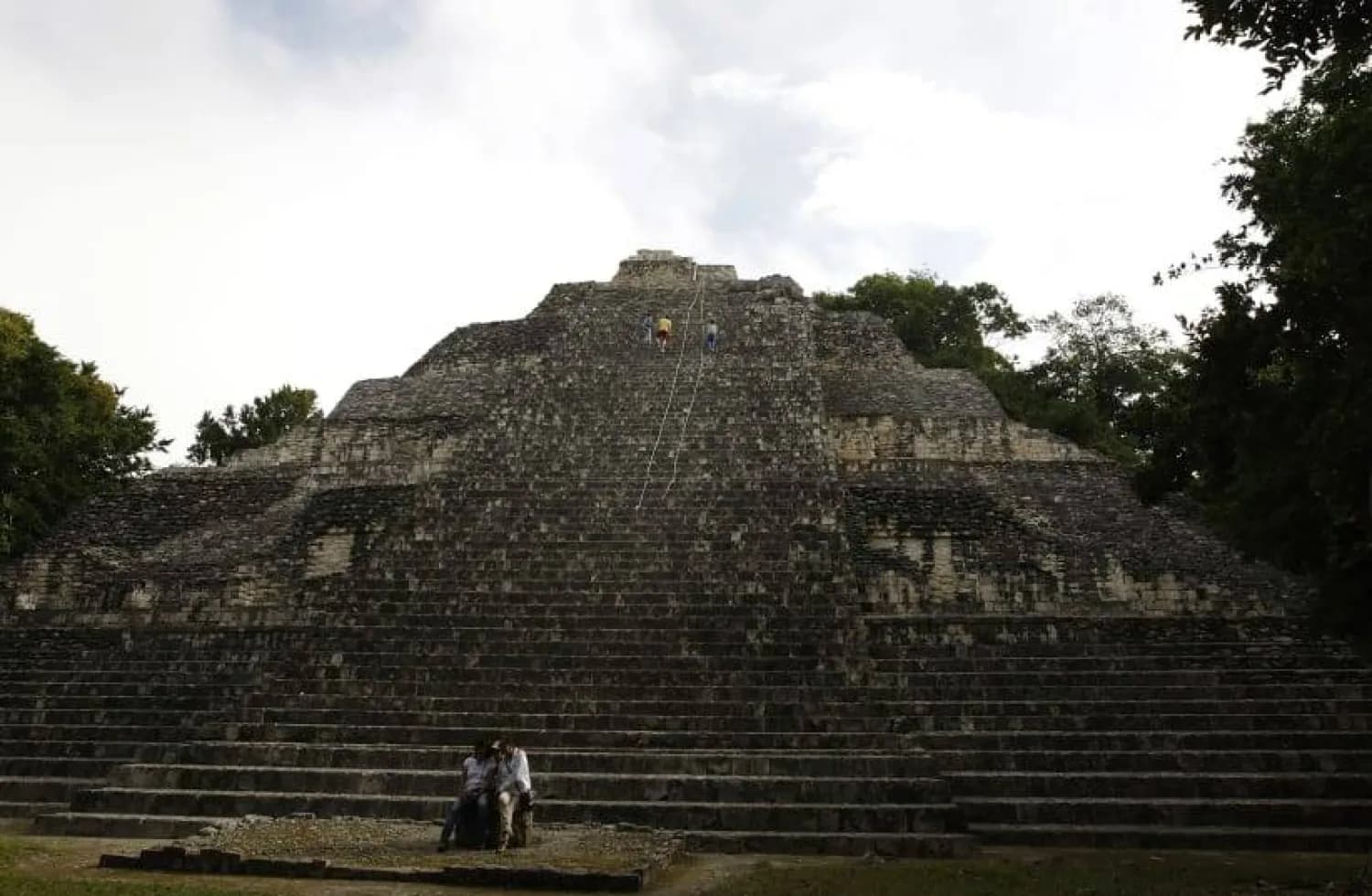 Previously Unknown Mayan City 'El Jefeciño' Found Along Maya Train Route
