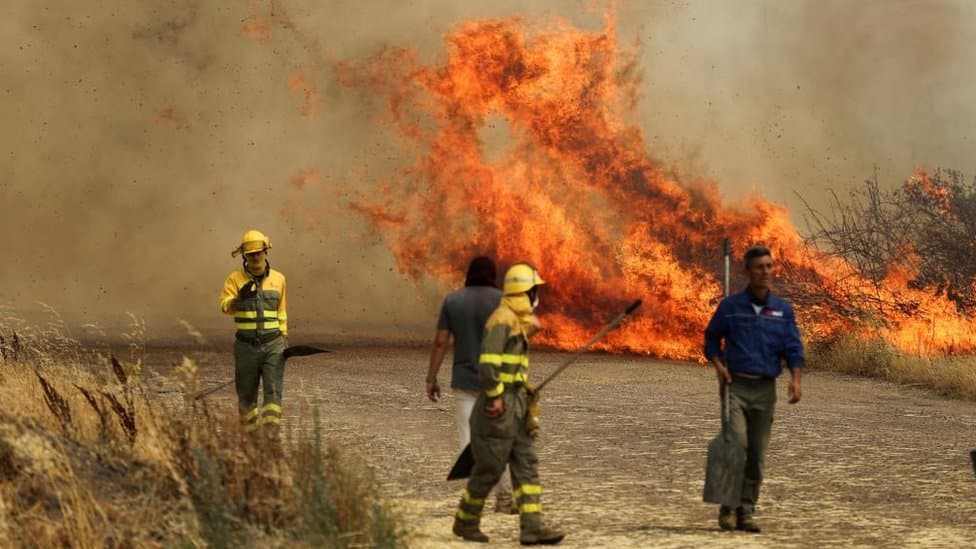 Deadly Almería Wildfire Forces 1,400 Evacuations; 12 Bodies Found