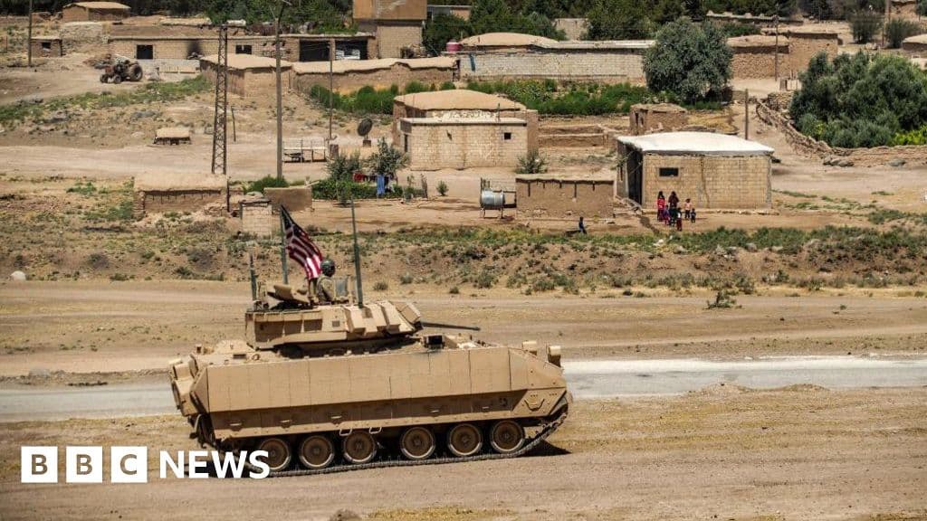 Two US soldiers and interpreter killed in ambush near Palmyra